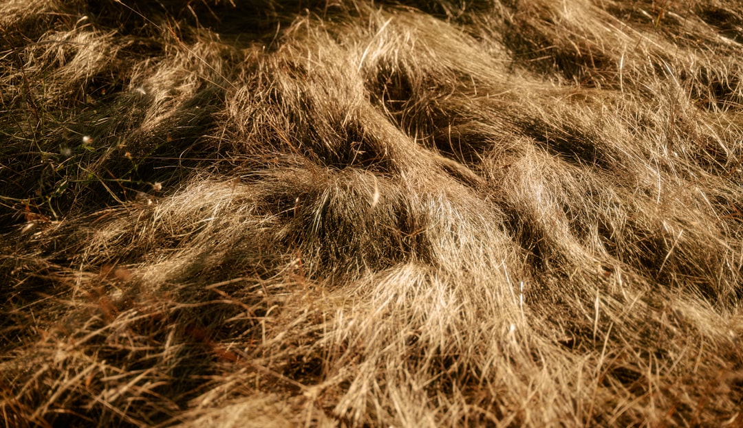 découvrez des méthodes efficaces pour éliminer les cowlicks et dompter vos cheveux rebelles en toute simplicité.