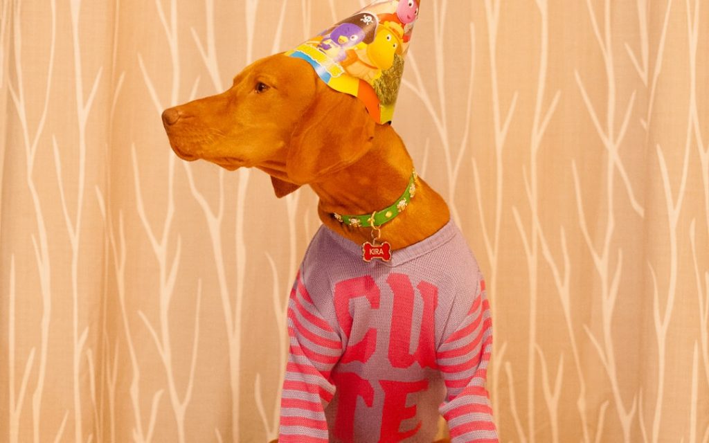 découvrez des tenues parfaites pour toutes vos soirées. style, confort et élégance réunis pour briller lors de vos fêtes.