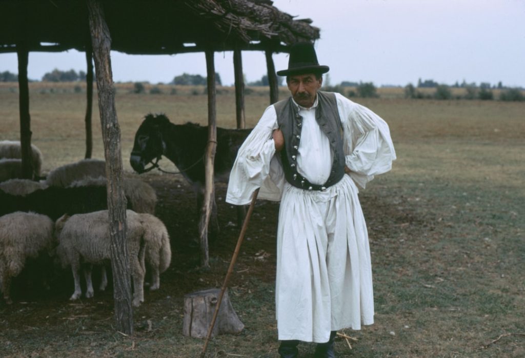 découvrez notre polo en lin pour homme, alliant élégance et confort respirant, parfait pour un style décontracté et sophistiqué.