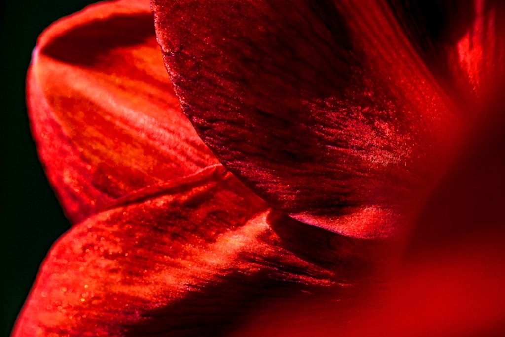 découvrez ruby, un langage de programmation dynamique et simple d'utilisation, idéal pour le développement web, les applications et l'automatisation.