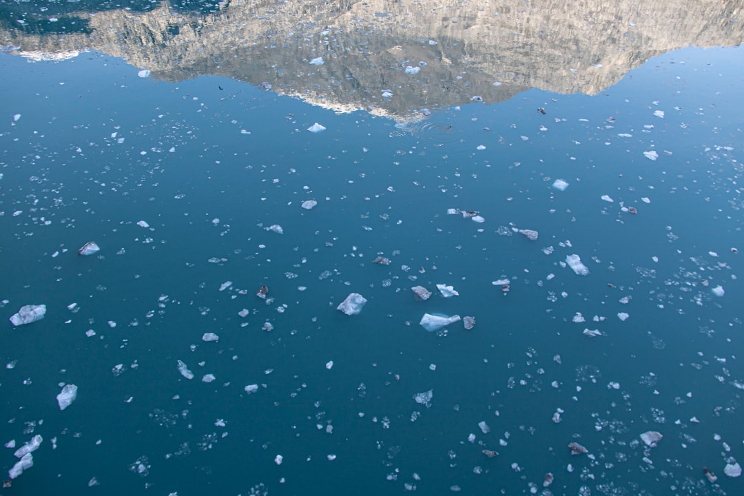 découvrez l'eau d'iceberg pure et naturelle, issue des glaciers les plus préservés, pour une hydratation saine et rafraîchissante.