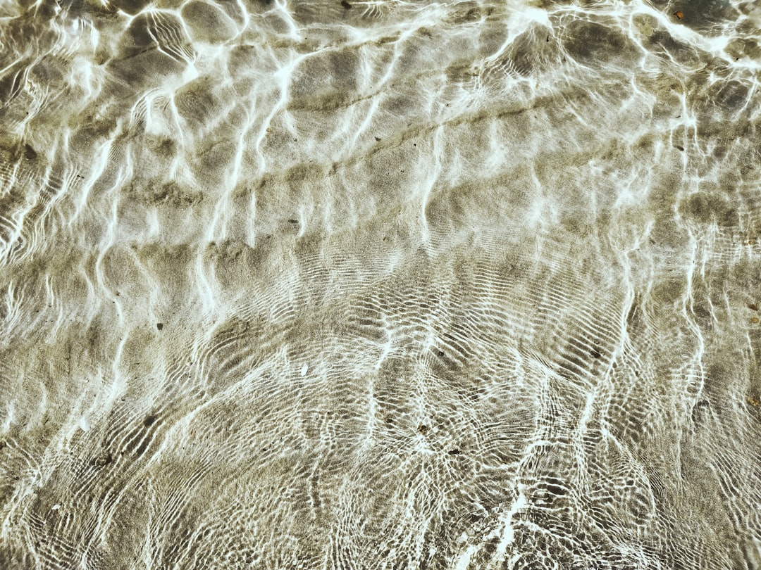 découvrez la douceur et la qualité du lin, une fibre naturelle idéale pour des textiles durables et élégants.