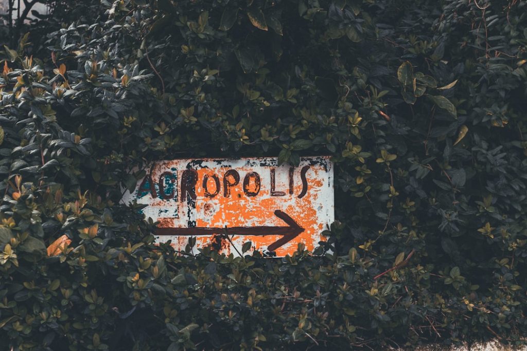 découvrez la technique du plopping pour un séchage naturel et efficace de vos cheveux bouclés, afin de définir vos boucles sans frisottis.