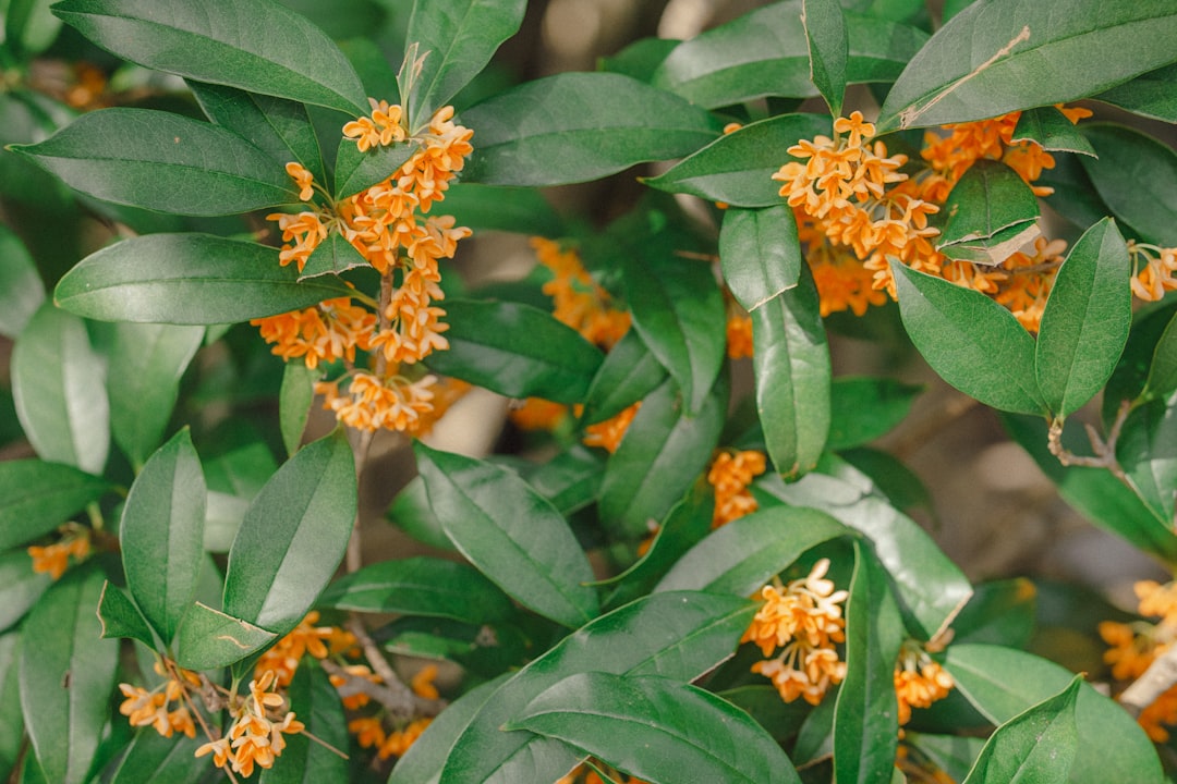découvrez notre sélection de parfums d'automne aux notes chaudes et enveloppantes, parfaits pour accompagner vos journées fraîches avec élégance.