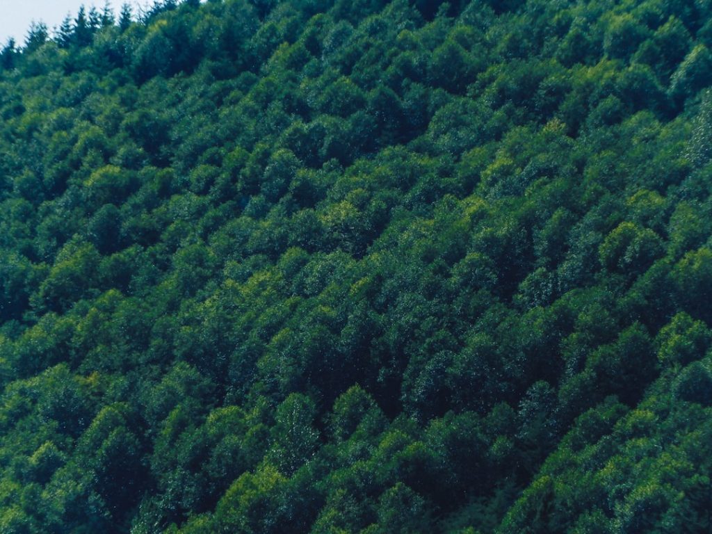 découvrez black diamond, la marque incontournable pour les passionnés d'escalade et d'activités de plein air, alliant performance, sécurité et innovation.