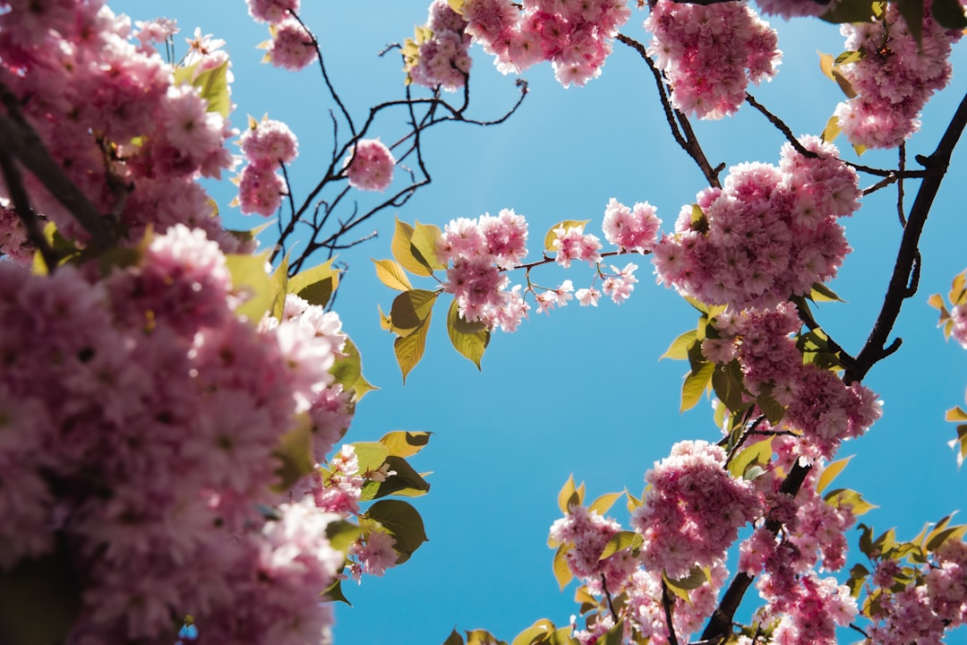 profitez des soldes de printemps : offres exceptionnelles sur une large sélection de produits pour rafraîchir votre saison.
